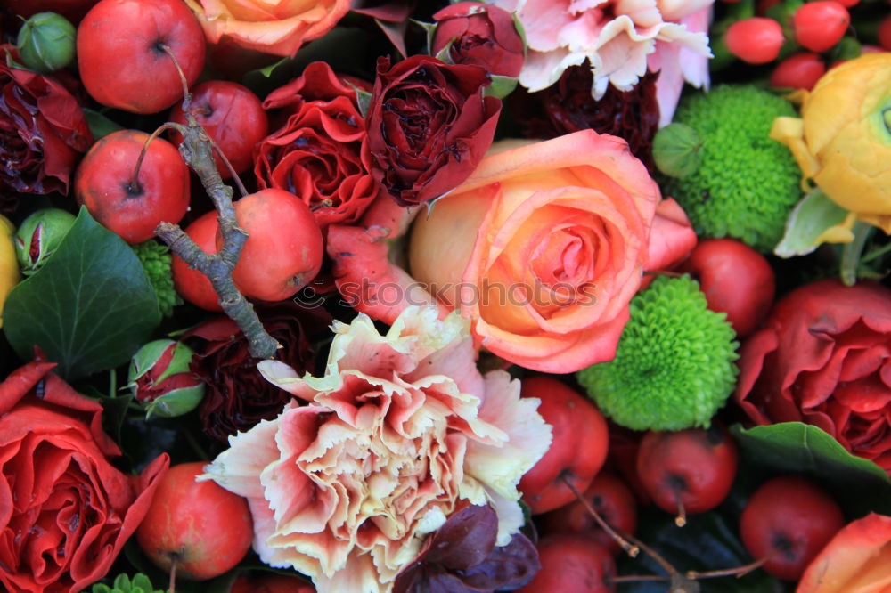 Similar – Image, Stock Photo Autumn flower composition with sunflowers and dahlias.