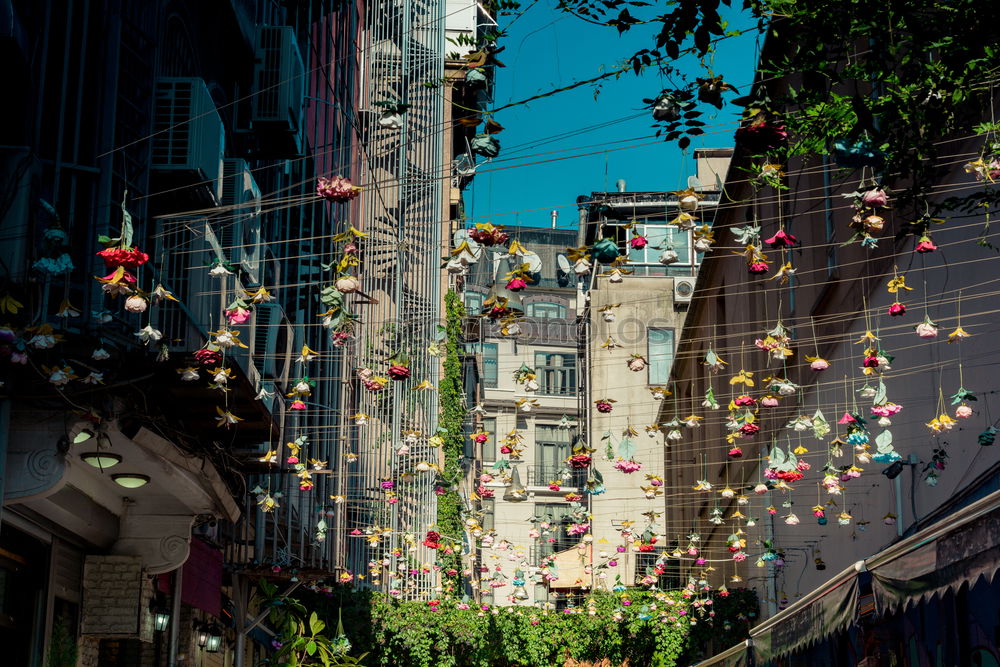 Similar – Image, Stock Photo Front of houses in Yangon