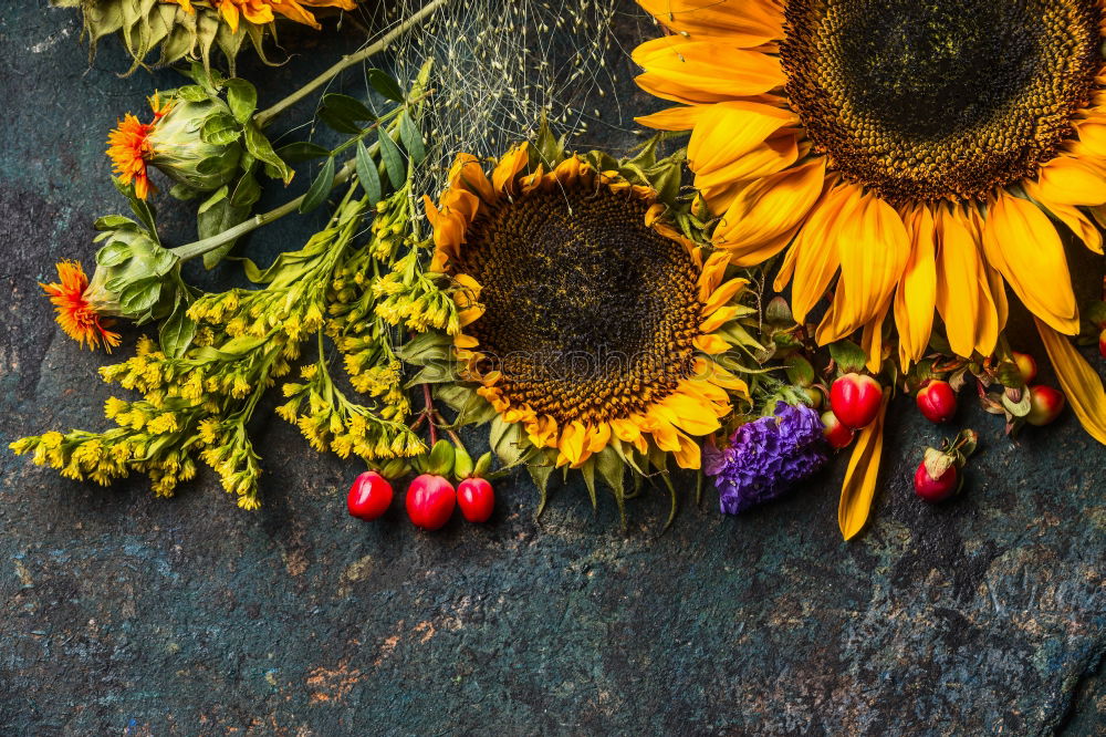 Similar – Autumn Decoration with Purple Aster