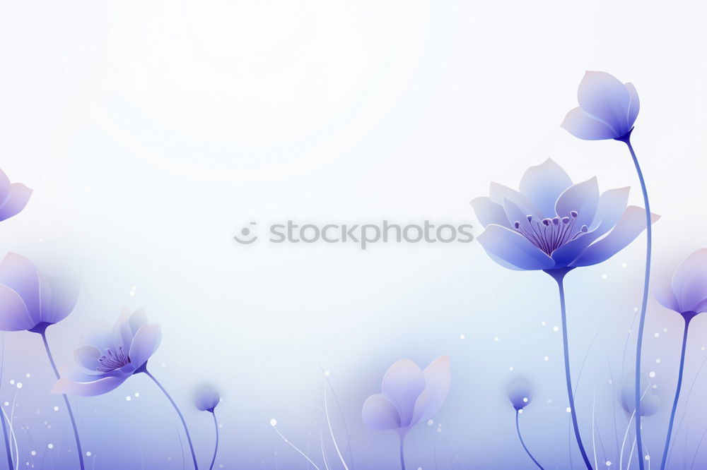 Similar – Image, Stock Photo poppies Environment Nature