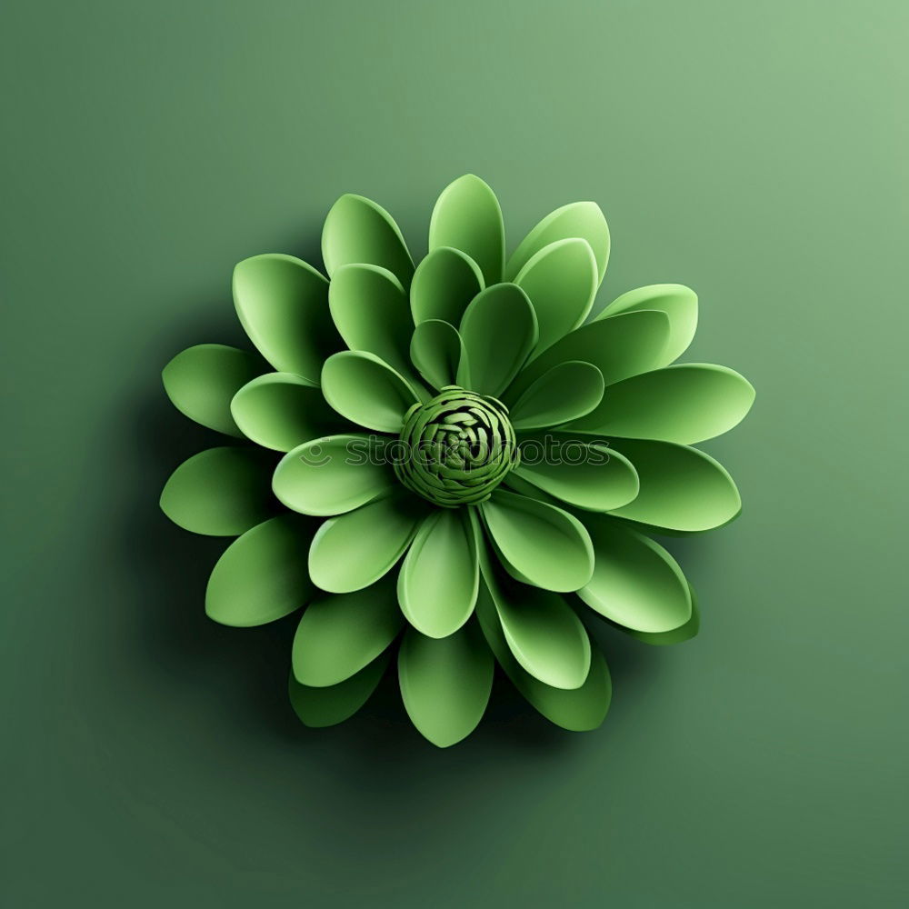 Similar – Image, Stock Photo strawflower Environment