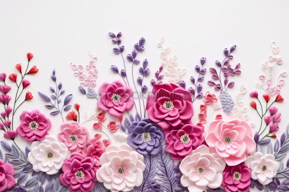 Similar – Beautiful flowers on Shabby Chic background