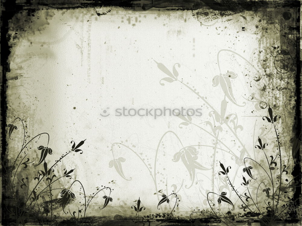 Similar – Image, Stock Photo ONCE SKY AND BACK PLEASE