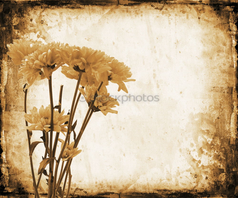 Similar – Image, Stock Photo waiting Environment Nature