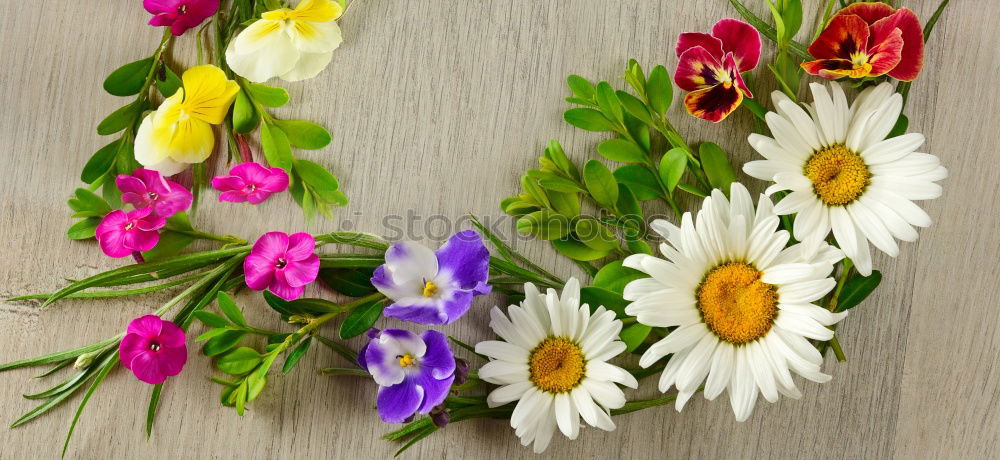 Similar – Image, Stock Photo Autumn coloured leaves and Erica on wood background