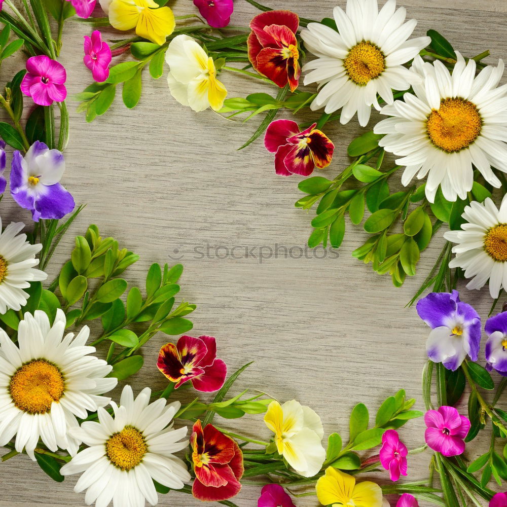 flower wreath Nature Plant