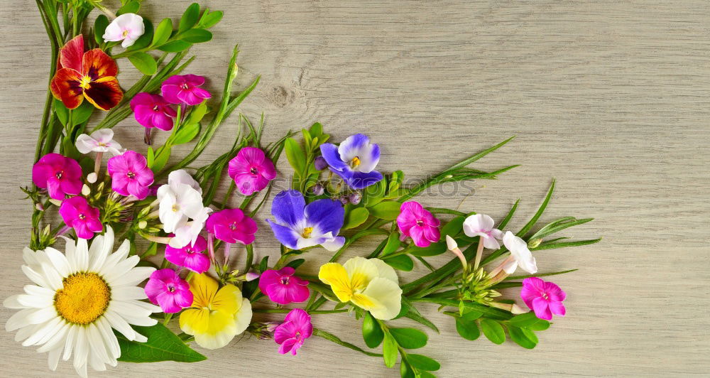 Similar – Image, Stock Photo various meadow flowers in glass vases