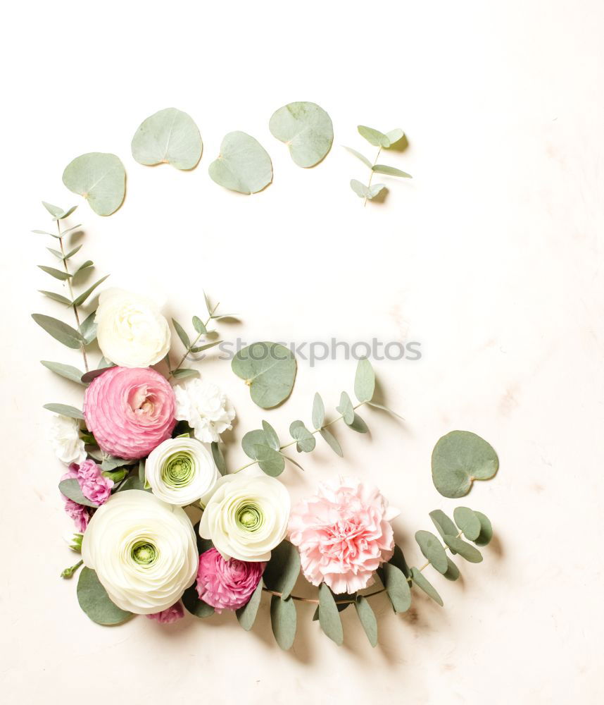 Similar – Water bowl with spring flowers