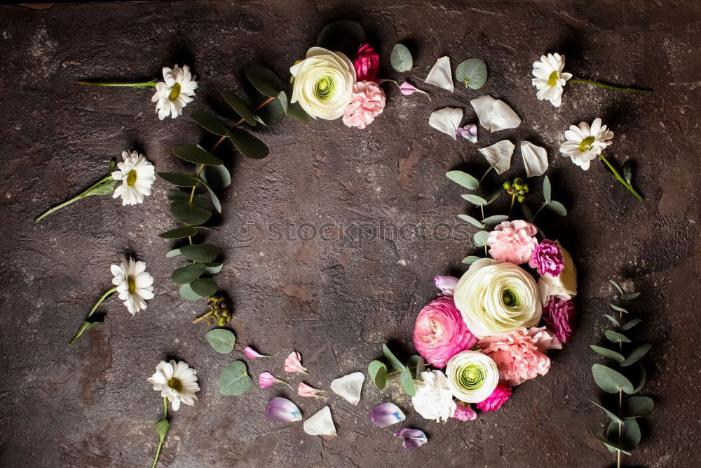Similar – Image, Stock Photo Beautiful flowers with leaves and decoration for bouquets