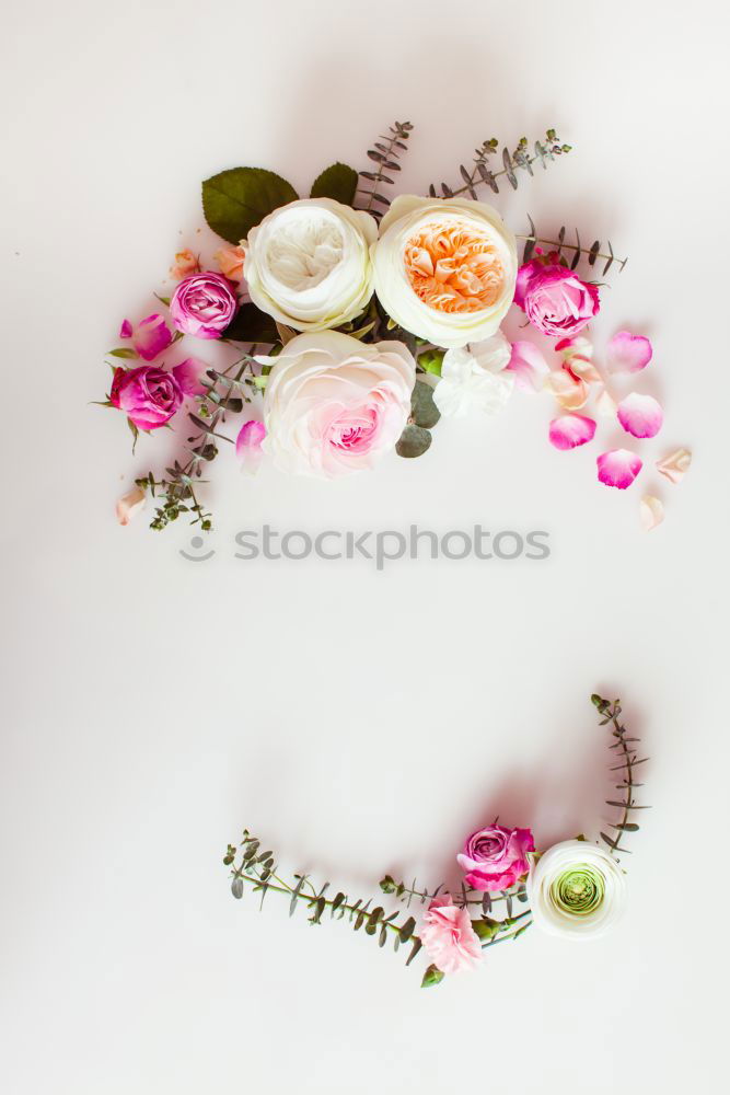 Similar – Round frames with shovel and garden flowers