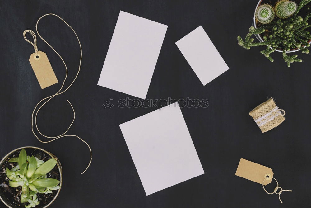 Similar – menu place setting with empty card and golden spoon