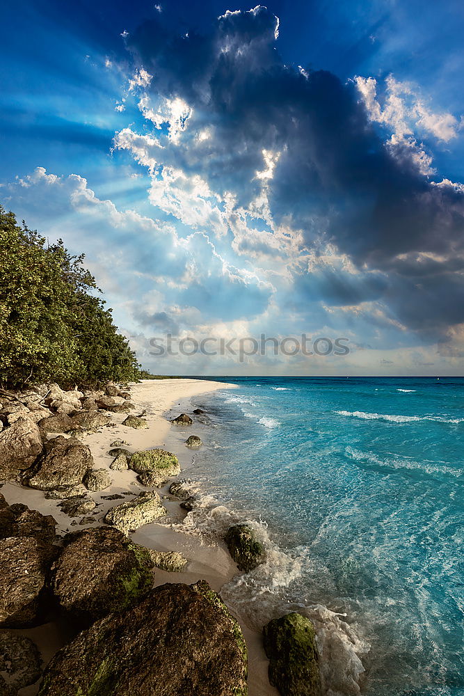 Similar – Coastal forest on the Baltic coast