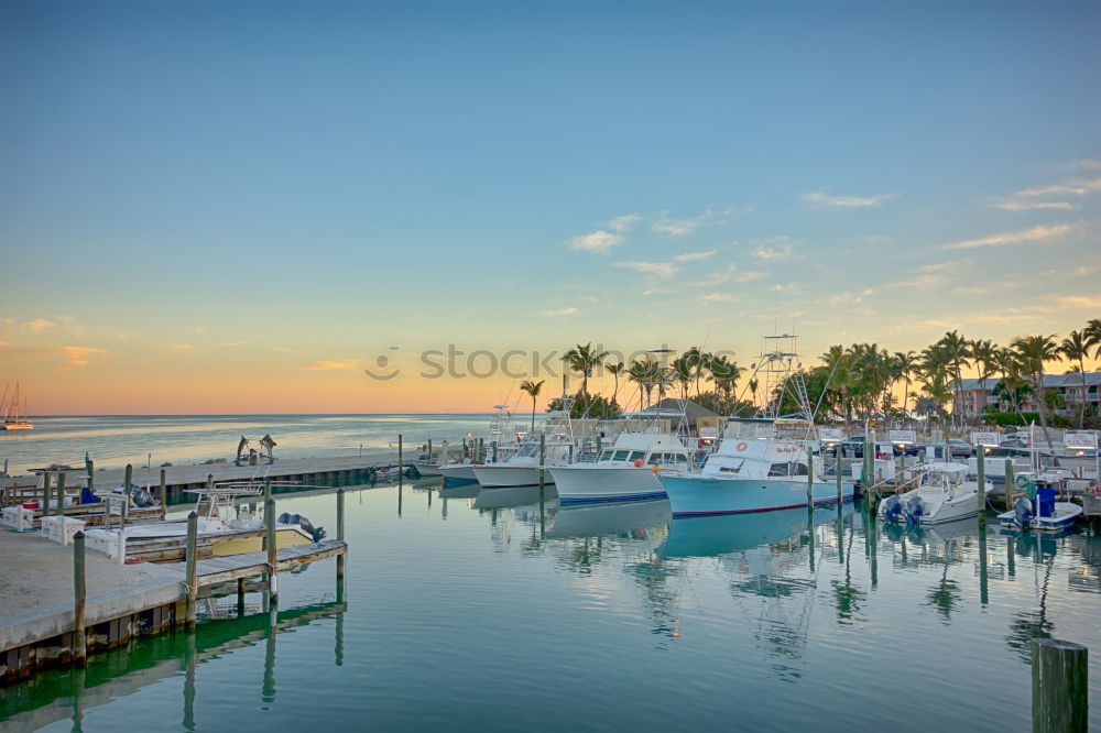 Similar – Image, Stock Photo Under palm trees 2