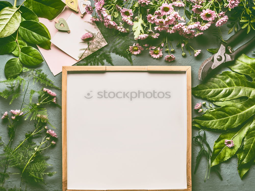 Similar – Image, Stock Photo Hands make bunch of flowers