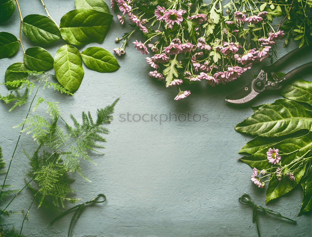 Similar – Flowers and leaves with decoration for bunch of flowers