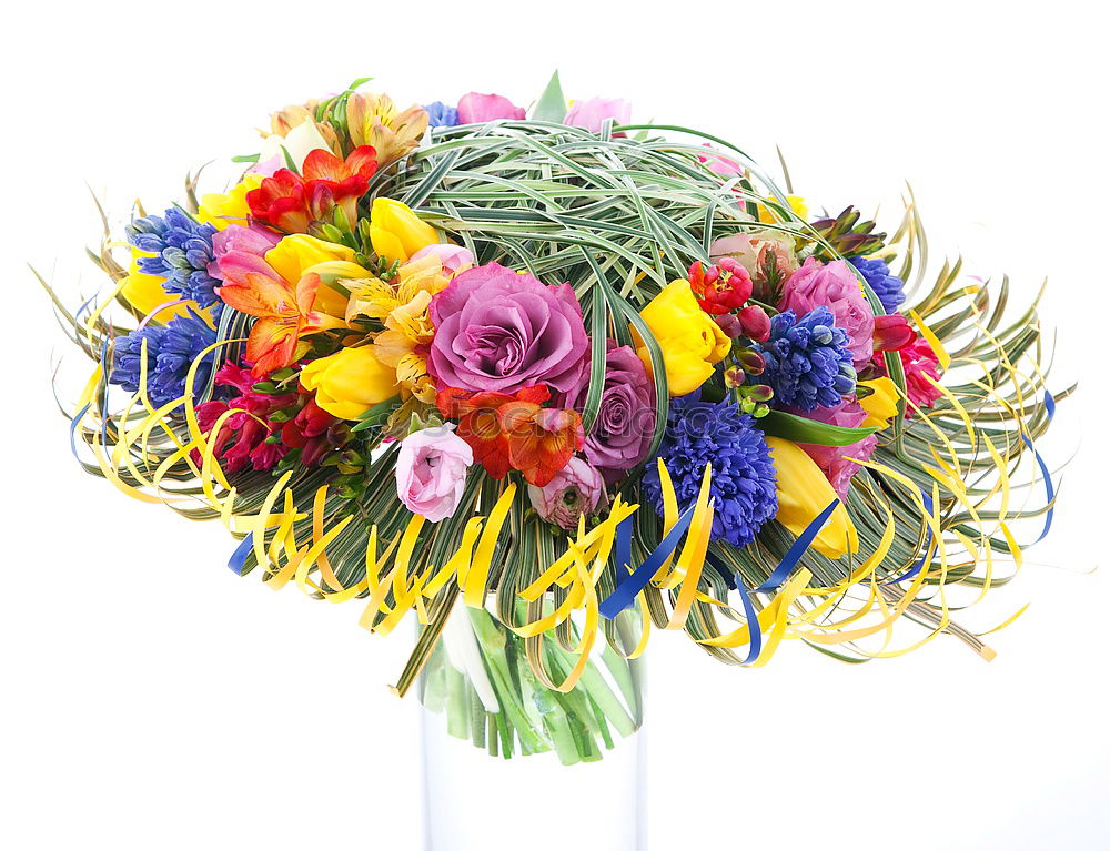 Similar – Image, Stock Photo welcome wreath Wreath
