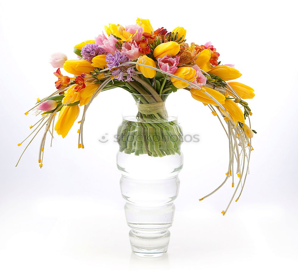 Similar – Image, Stock Photo Mother’s Day Beautiful