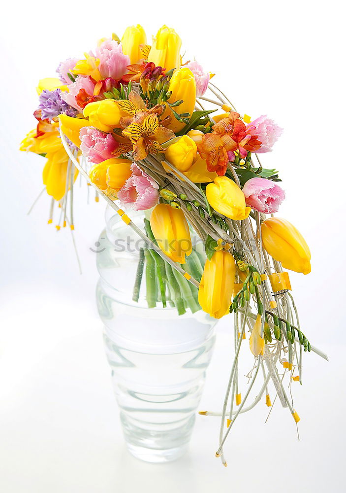 Similar – Image, Stock Photo Mother’s Day Lifestyle Joy