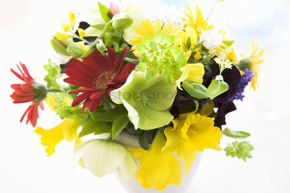 Similar – Image, Stock Photo birthday Bouquet Flower