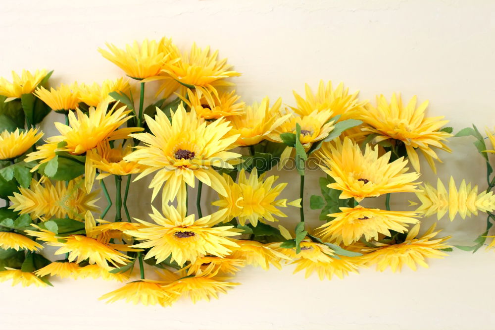 Similar – Image, Stock Photo Rapeseed honey on combs