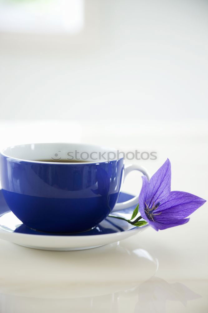 Similar – die blaue Tasse