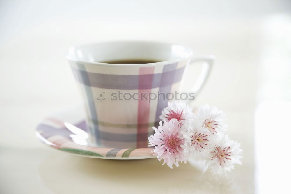 Similar – Image, Stock Photo purple Lifestyle Winter