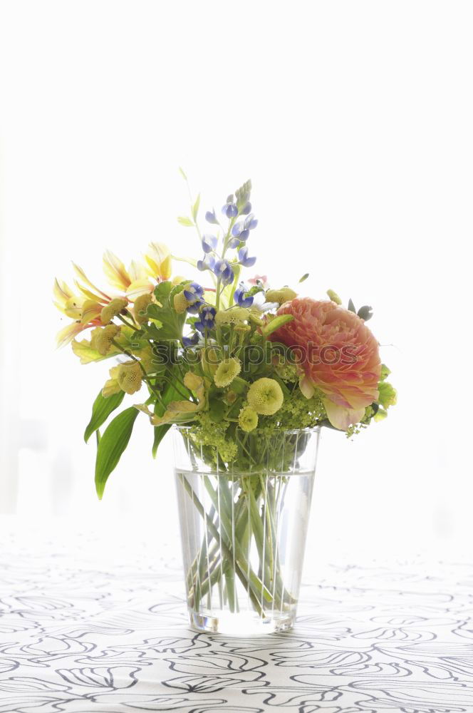 Similar – Image, Stock Photo wildflower bouquet Style