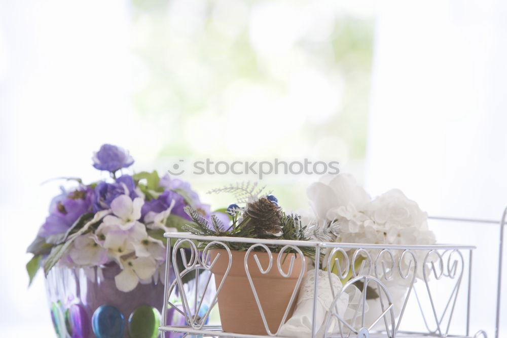 Similar – Low angle view of a pretty wedding bouquet of white flowers lying on a table top with selective focus and copyspace