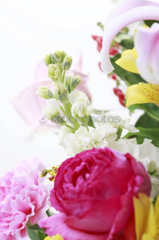 Similar – Image, Stock Photo birthday Bouquet Flower