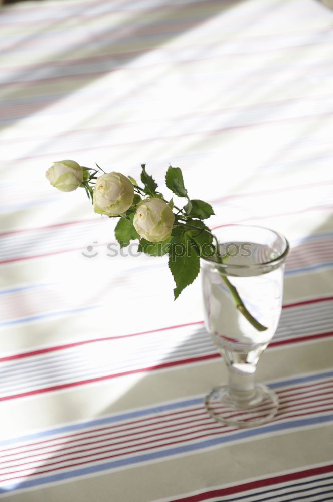 Similar – Image, Stock Photo rose Table Rose Vase