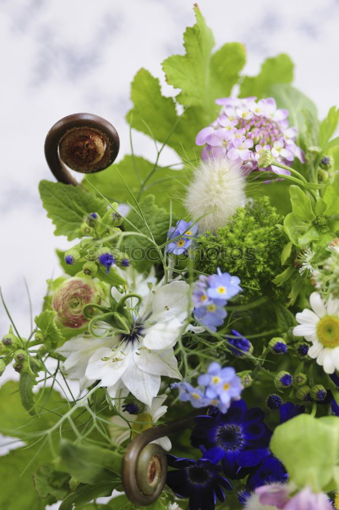 Similar – Image, Stock Photo fresh herbs and flowers in a metal bowl on a wooden table