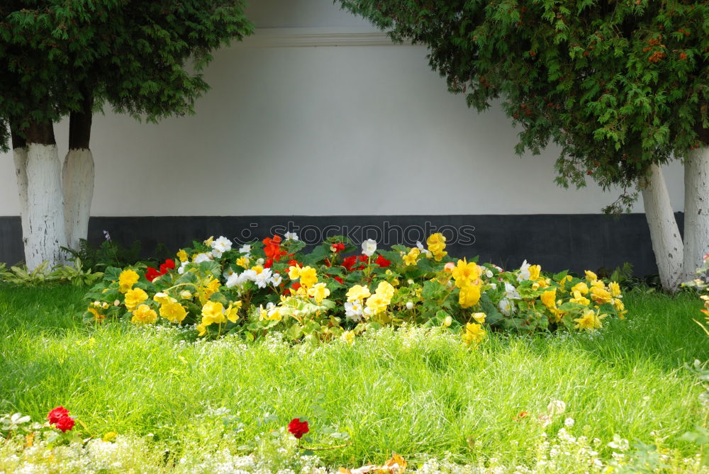 Similar – Image, Stock Photo shaving seat Spa gardens