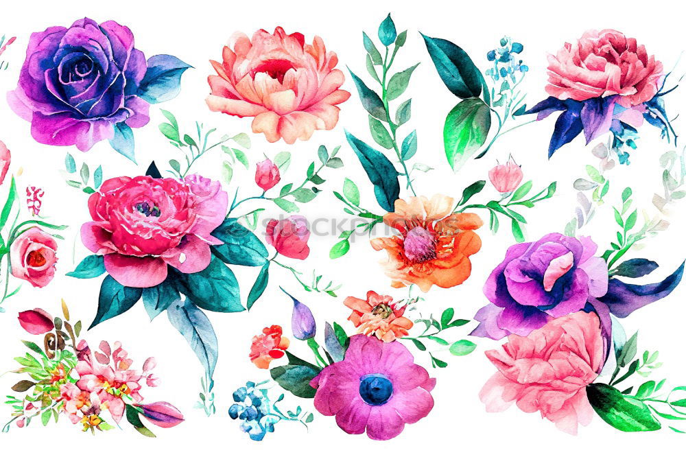Similar – Image, Stock Photo Flowers on blue background