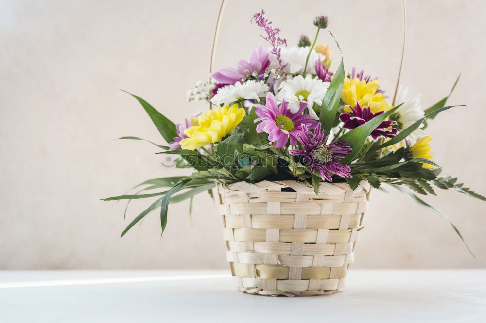 Similar – Image, Stock Photo Flower pot with shovel and greeting card