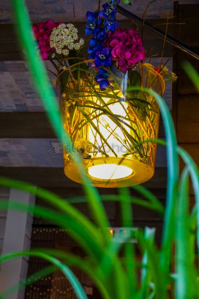 Similar – Image, Stock Photo Candle lantern and table