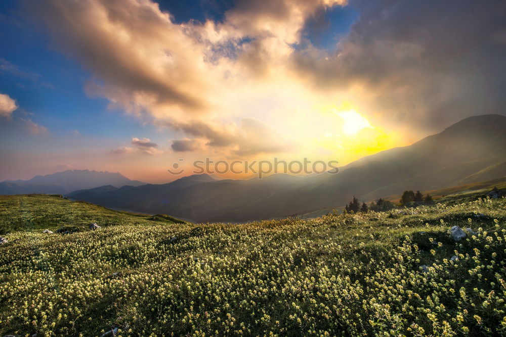 Similar – Image, Stock Photo Up high. Yeah, there’s this view up there.