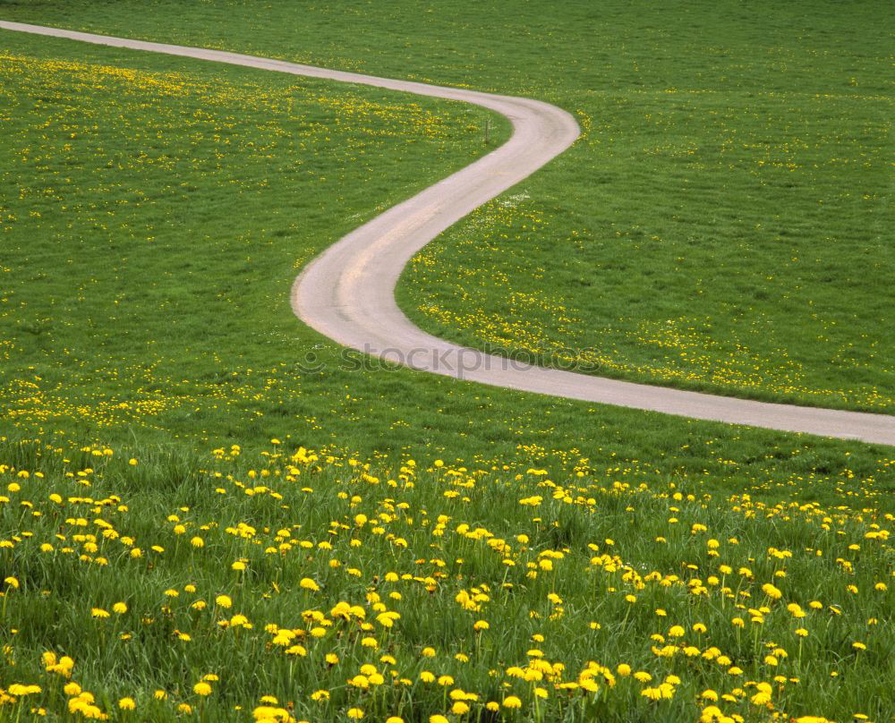 Image, Stock Photo overland route Environment