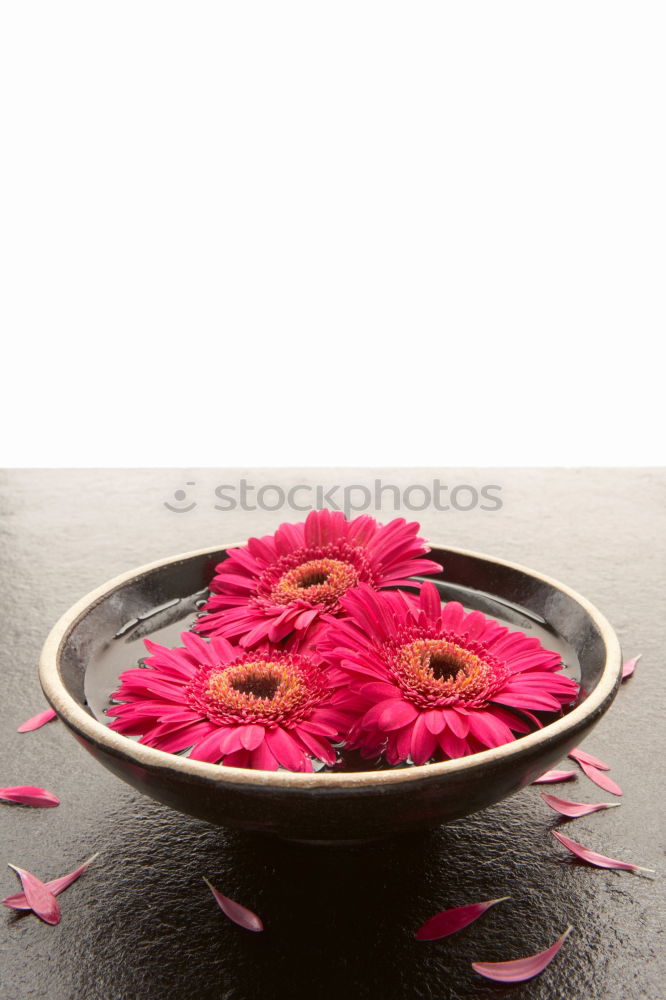 Similar – Blue bowl with pink flowers and water