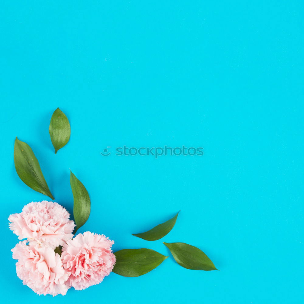 Similar – Image, Stock Photo Like a flower Lifestyle