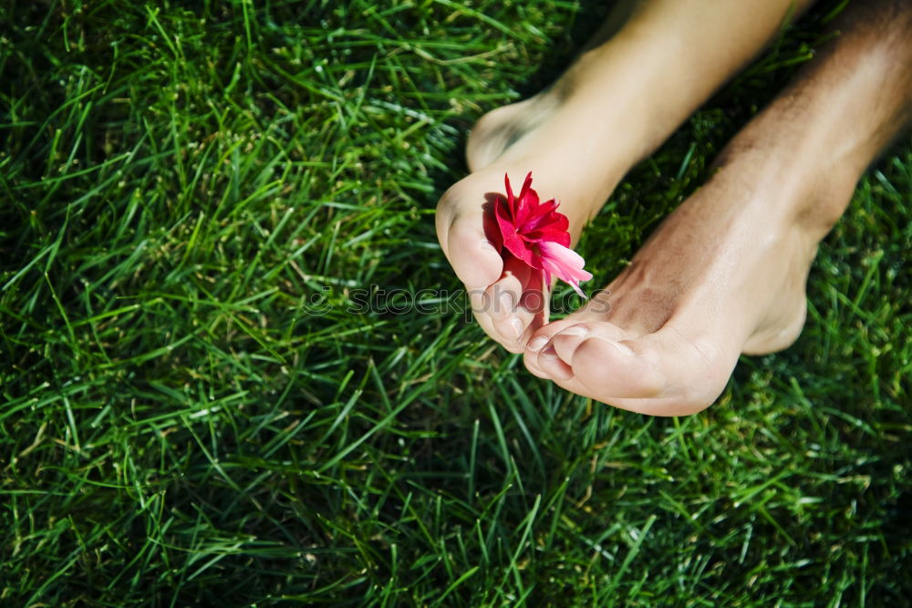 Similar – Image, Stock Photo Trip to the countryside