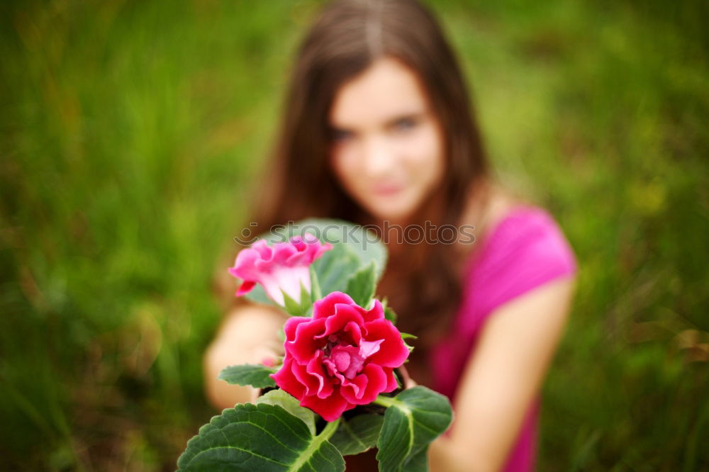 Similar – bouquet Bouquet