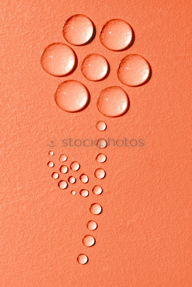 Similar – Image, Stock Photo Cherry tomatoes on a coral red background