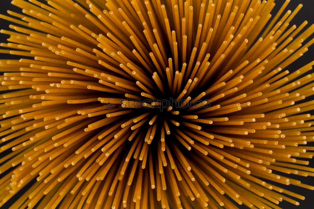 Similar – Image, Stock Photo Top View Of Uncooked Spaghetti. Close up . Selective focus