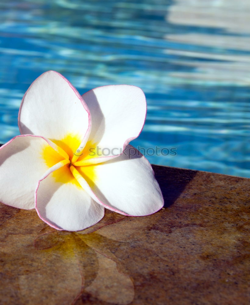 Similar – Image, Stock Photo the way to the beach at 48°C