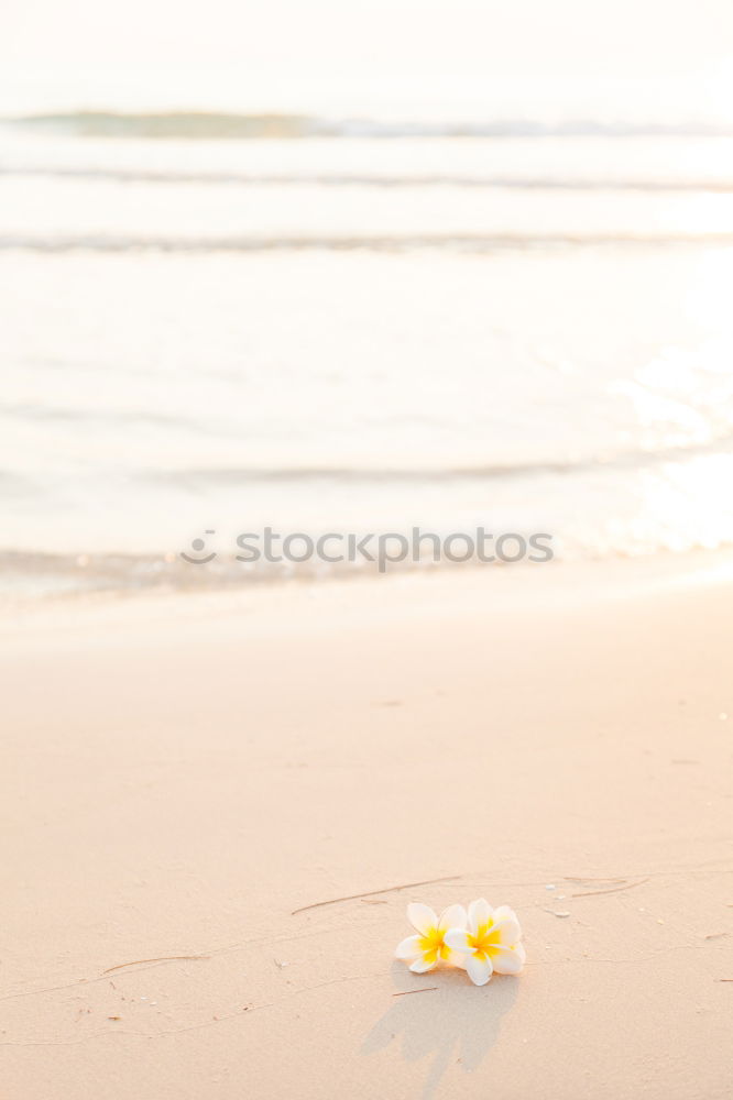 Similar – Image, Stock Photo Children’s bucket on the sandy beach