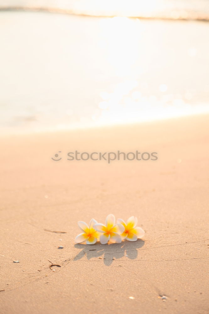 Similar – Image, Stock Photo Children’s bucket on the sandy beach