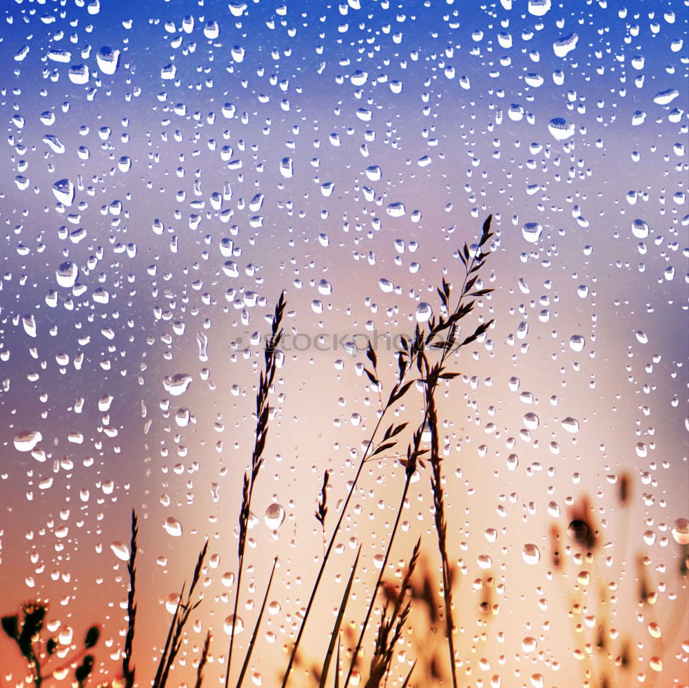 Similar – Raindrops at the window