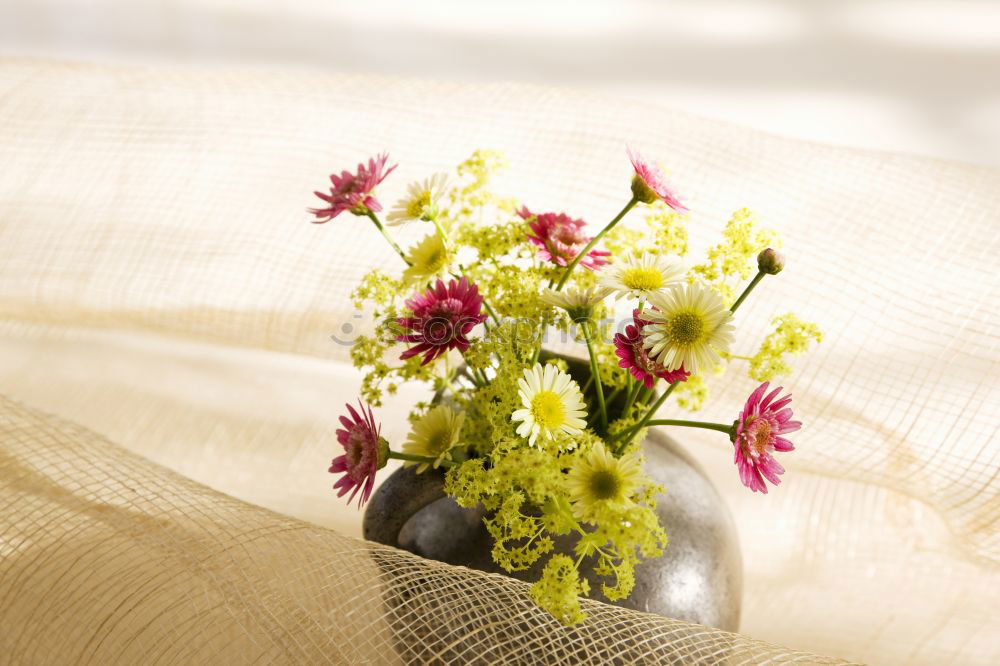 Similar – Image, Stock Photo Watering can with garden flowers