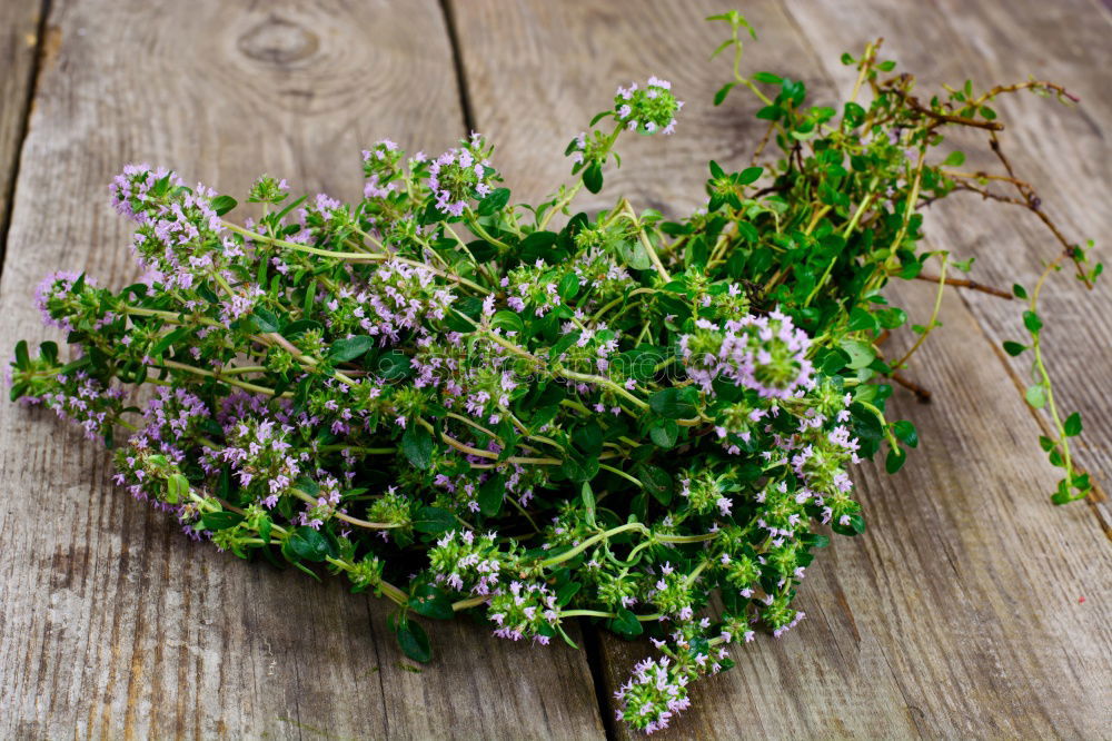 Similar – Image, Stock Photo fresh herbs and flowers in a metal bowl on a wooden table