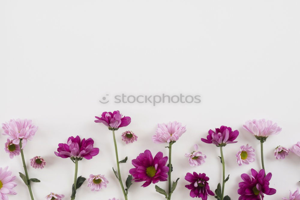 Similar – Perfume in female hands with flowers